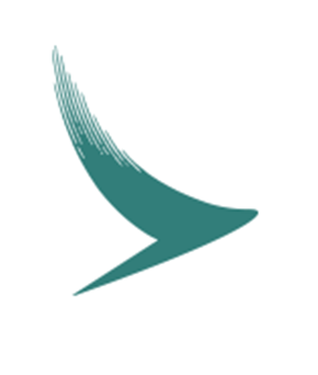 国泰货站入库查询图标